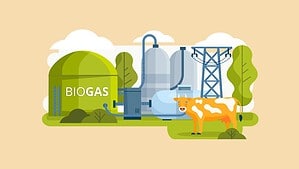 Bioenergy And Biomass Statistics