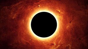 Black Hole Statistics