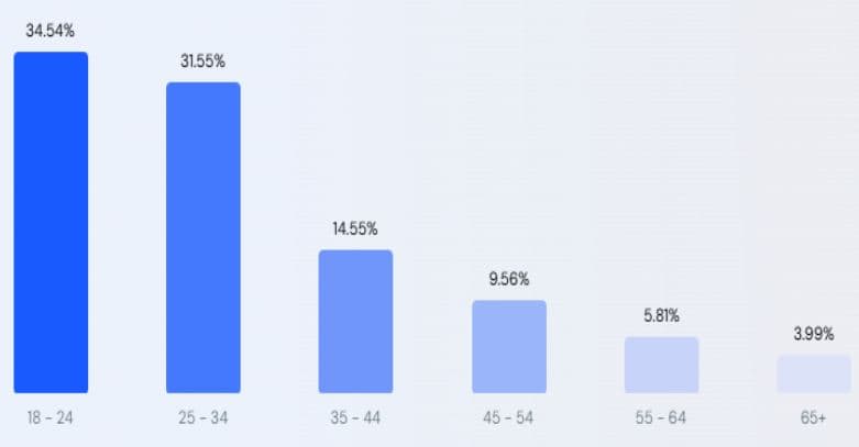 Website Audience Demographics
