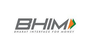 BHIM Statistics