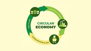 Circular Economy Business Statistics