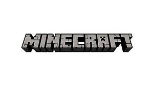 Minecraft Statistics