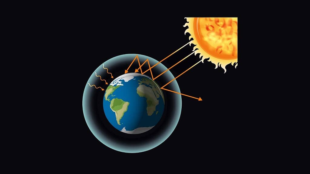 Ozone Layer Statistics