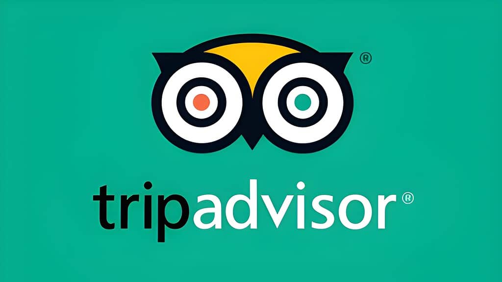 TripAdvisor Statistics