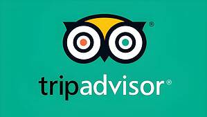 TripAdvisor Statistics