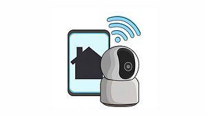 IP Camera Statistics