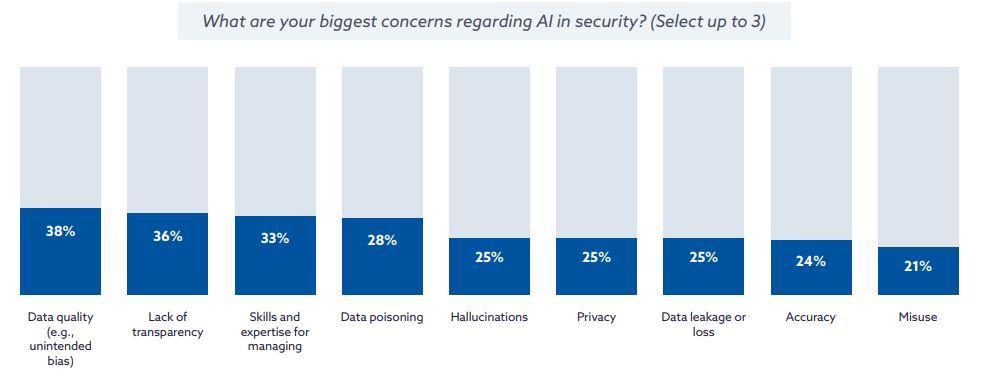 Main Concerns About AI in Security